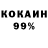 ГЕРОИН хмурый KPeHDeJLb Paystovskii