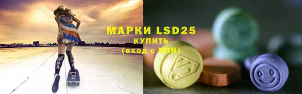 гашик Алексин