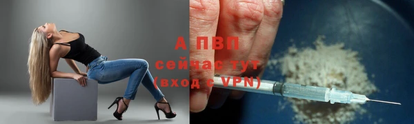 твердый Алексеевка