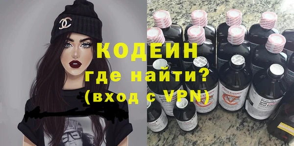 гашик Алексин