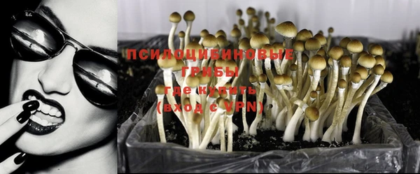 не бодяженный Армянск