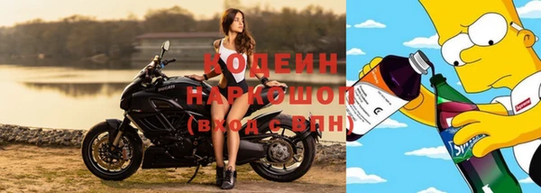 гашик Алексин
